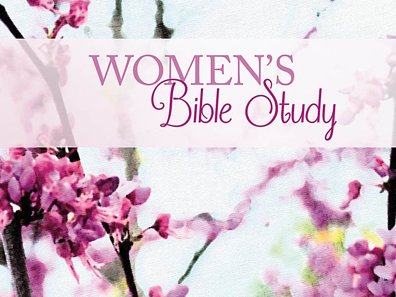 Bible Study Background Women S Open