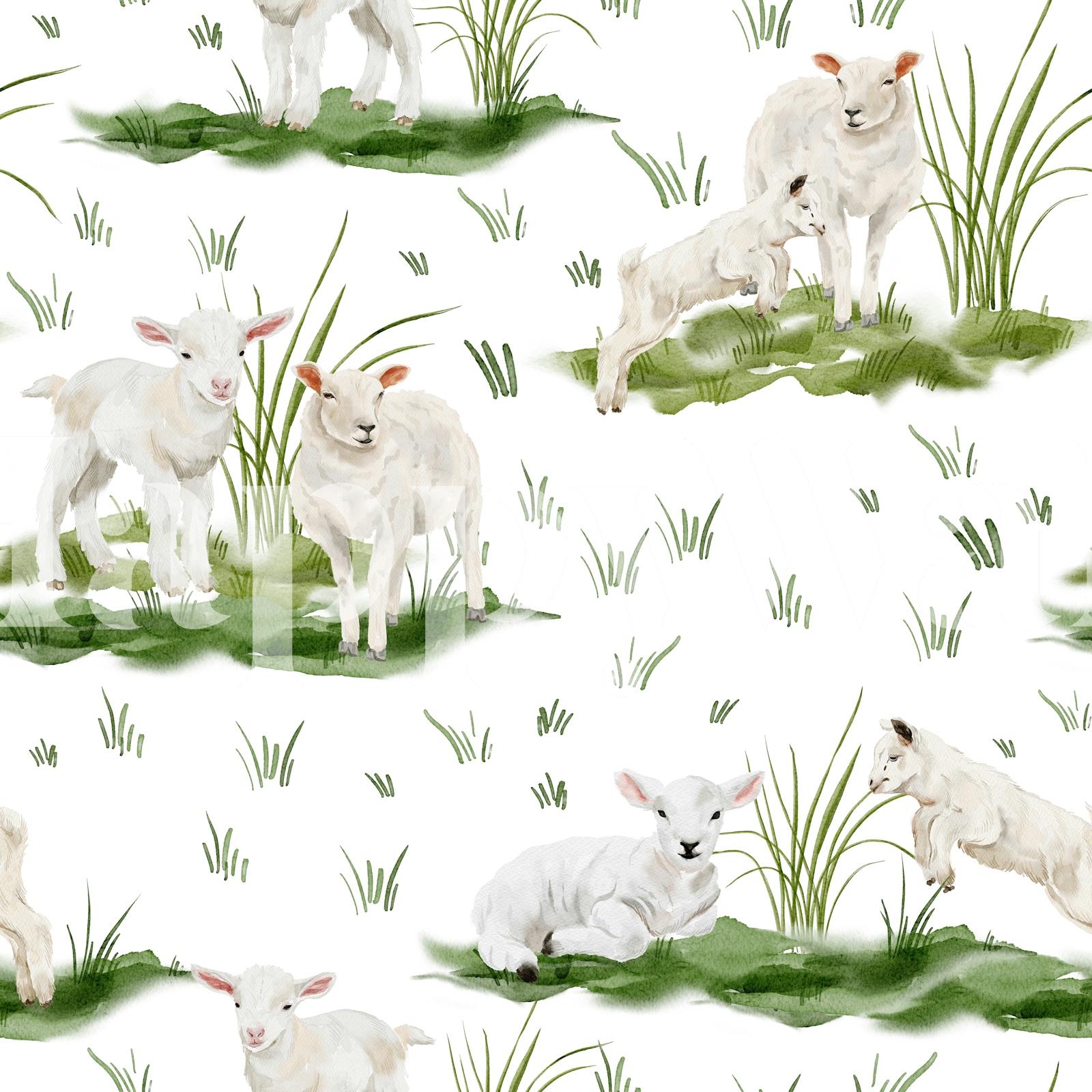 Nursery Lamb Yard Masked Wallpaper