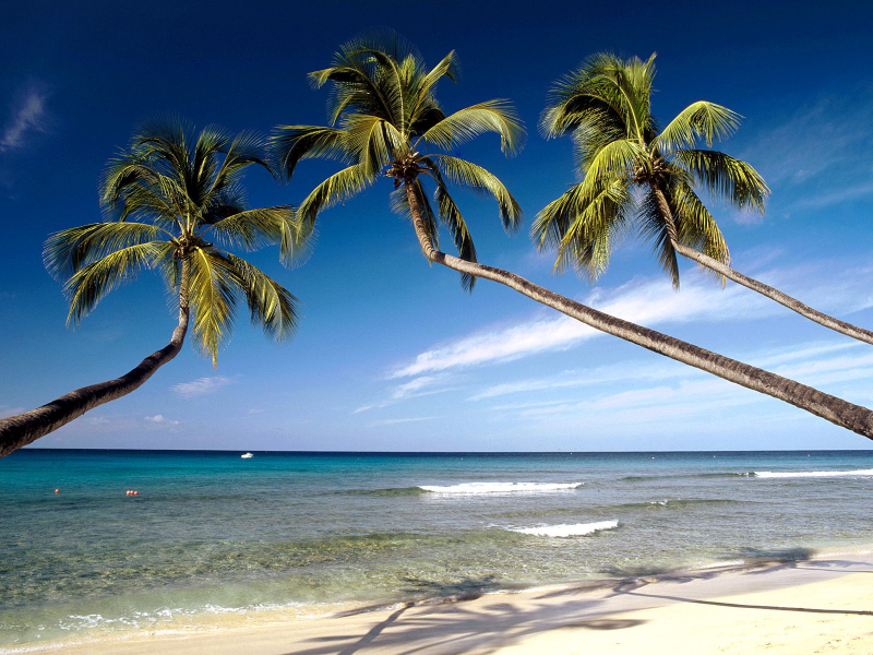 Kings Beach West Coast Barbados Indies Desktop Wallpaper