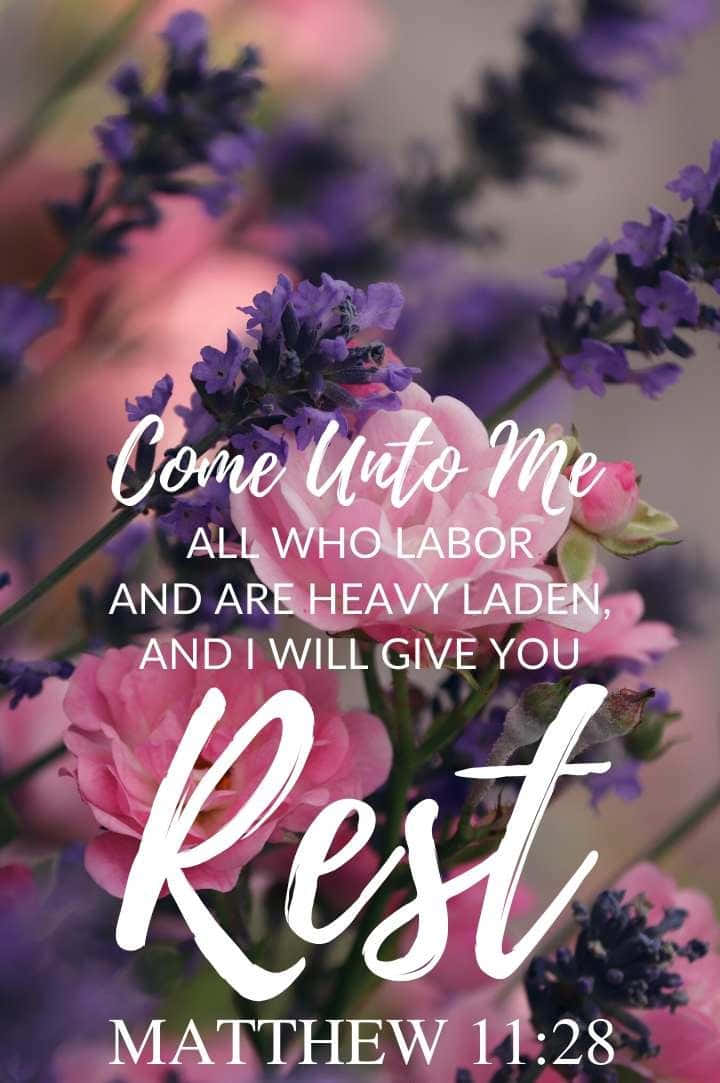 Bible Verse Phone Wallpaper
