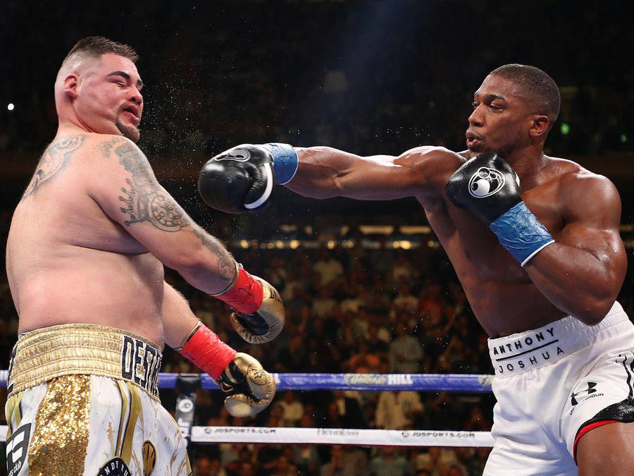 Andy Ruiz Wallpaper