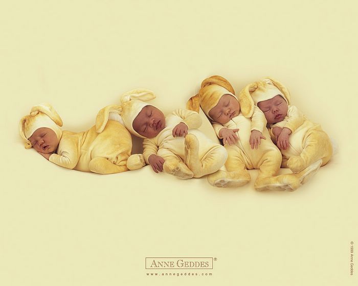 Anne Geddes Baby Wallpaper