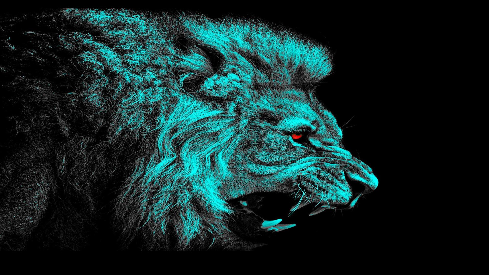 Angry Lion Wallpaper