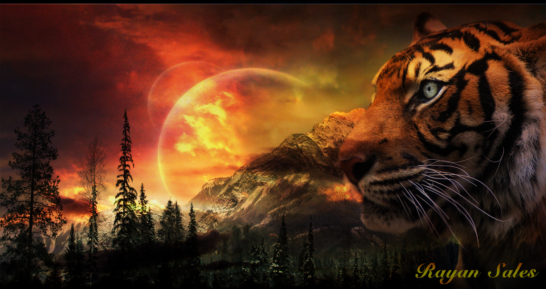 Cool 3d Background Of Tigers