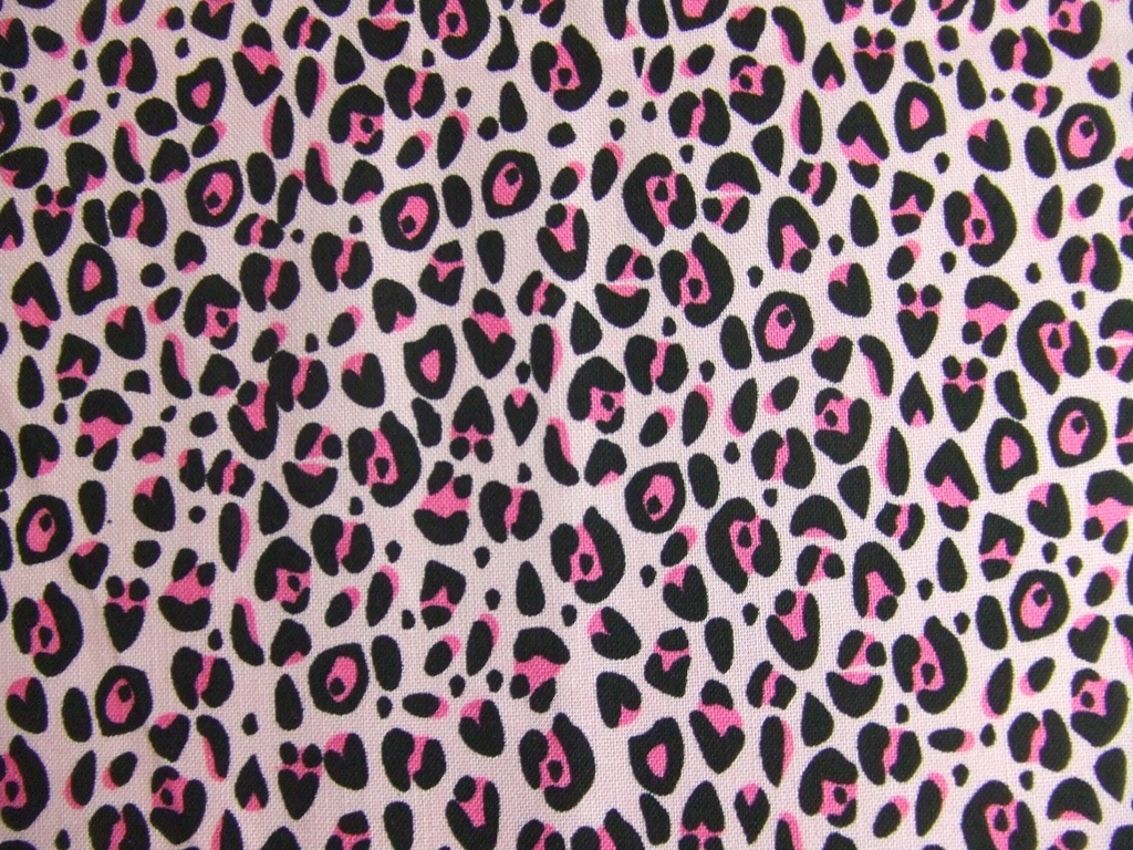 Light Pink Leopard Print Showcase chic pink leopard 1024x768