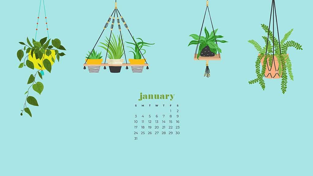 January Calendar Wallpaper Designs To Choose From