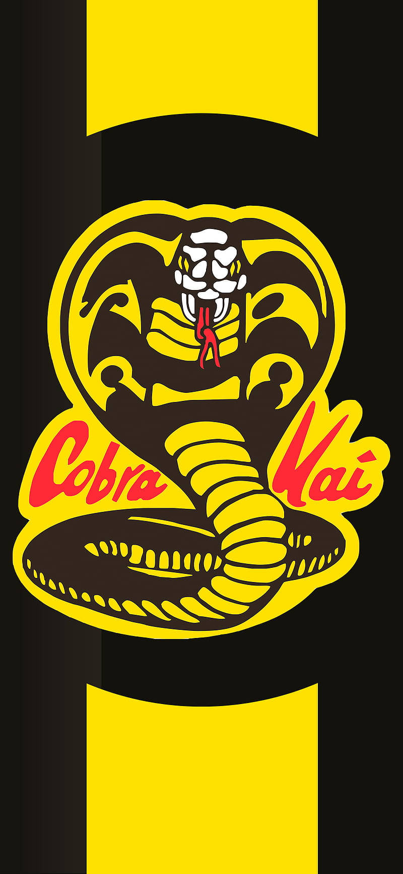 Experience The Power Of Cobra Kai Brand With New