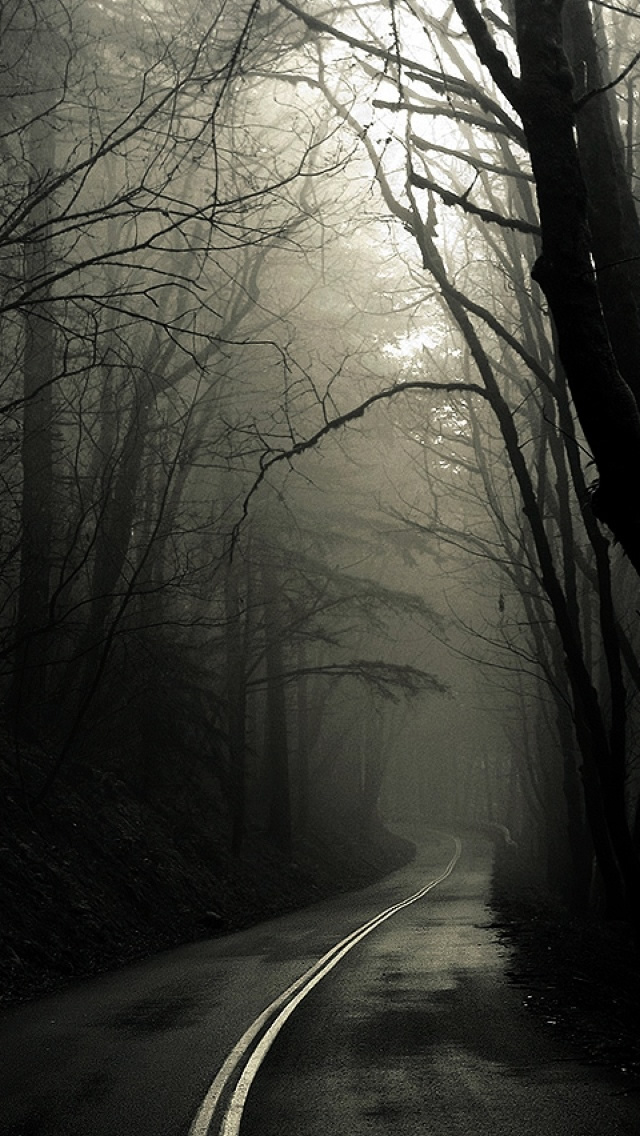Dark Road Forest iPhone Wallpaper Tags Fog Trees