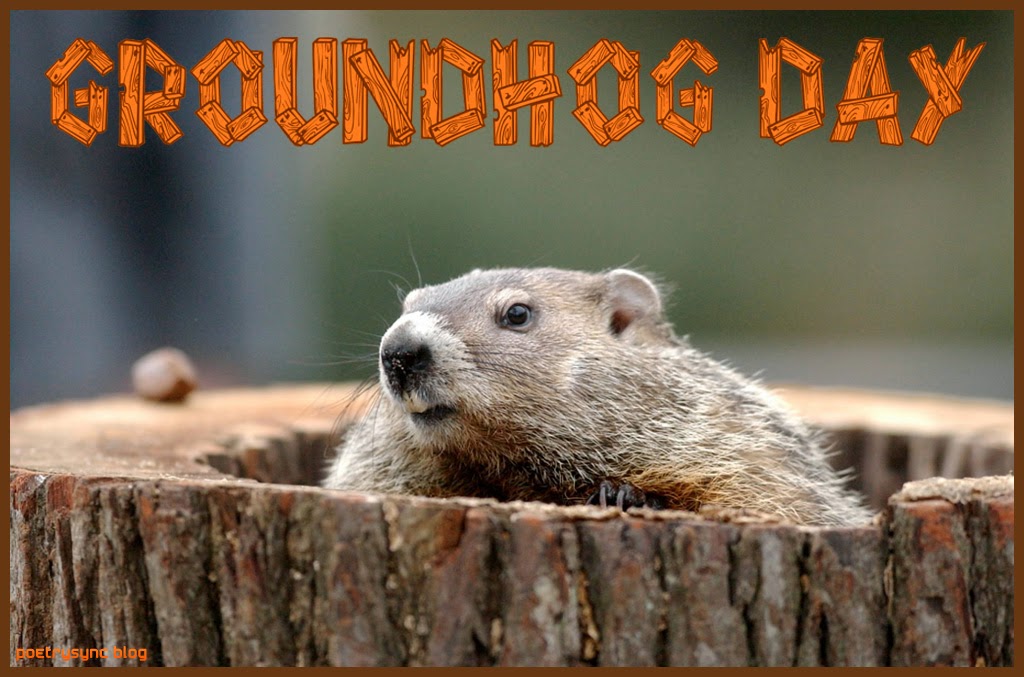 Groundhog Day 2014 eCards wishes Quotes Messages when is Groundhog Day