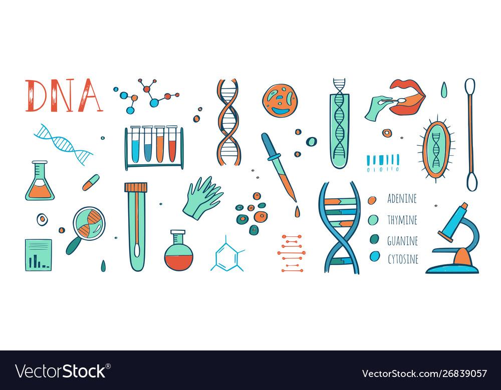 Genetic engineering and medical research Vector Image