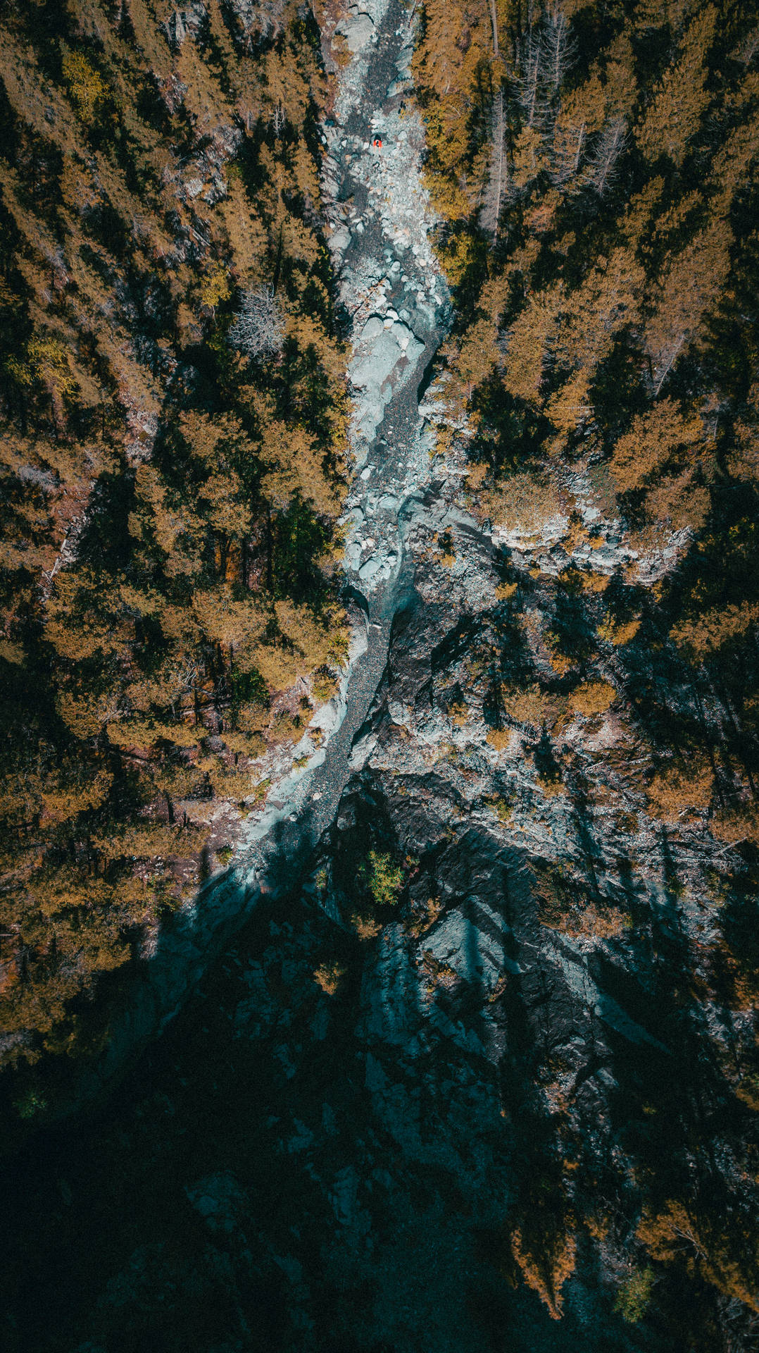 8k iPhone Wallpaper