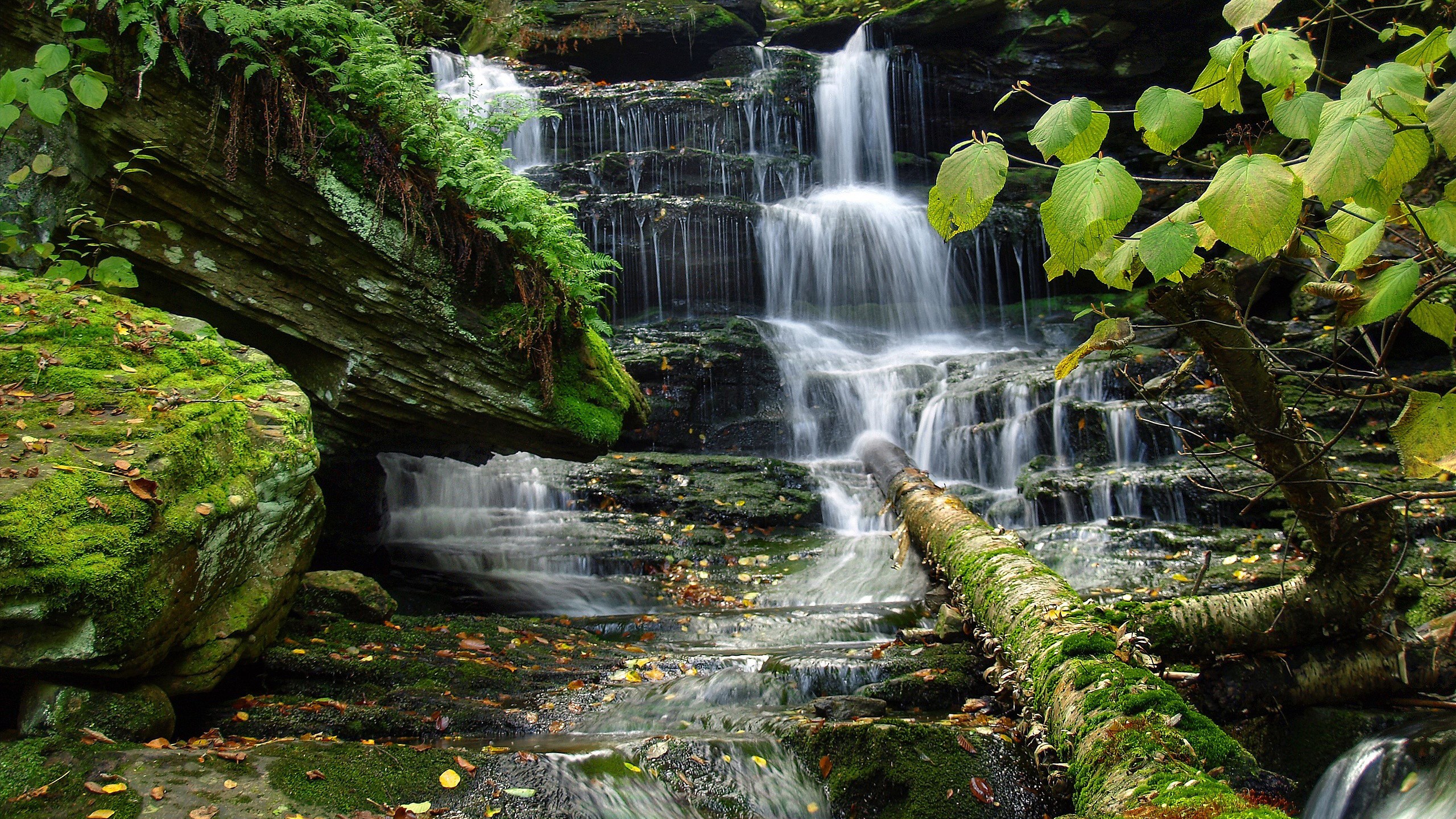 HD Nature Night Wallpaper For Desktop