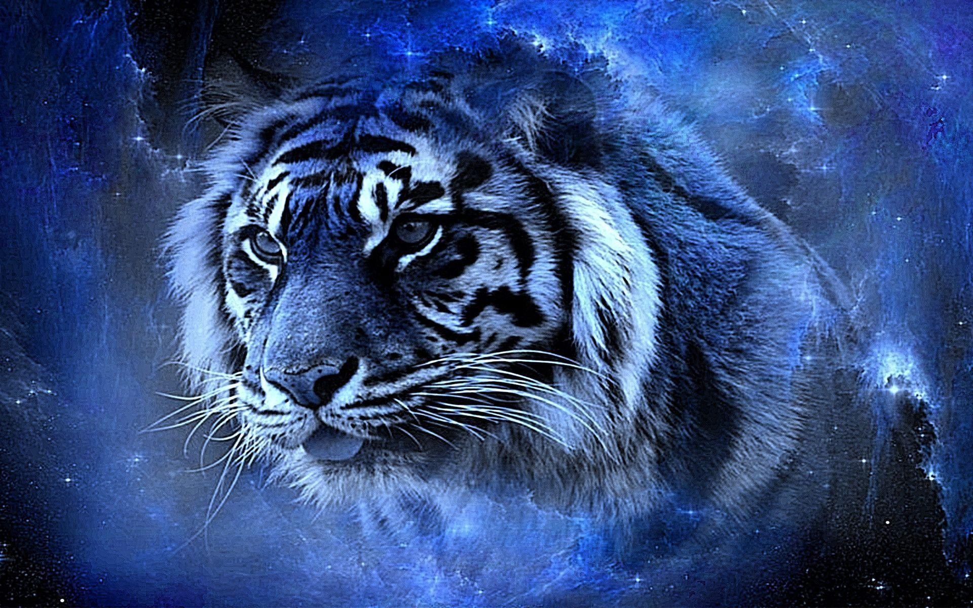 Cool Tiger Background Image Amp Pictures Becuo