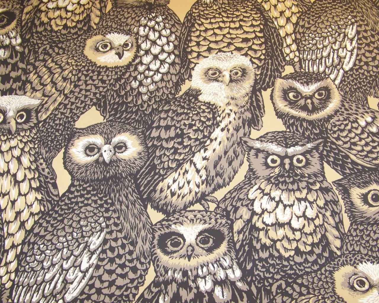 Vintage Owl Wallpaper Top Background