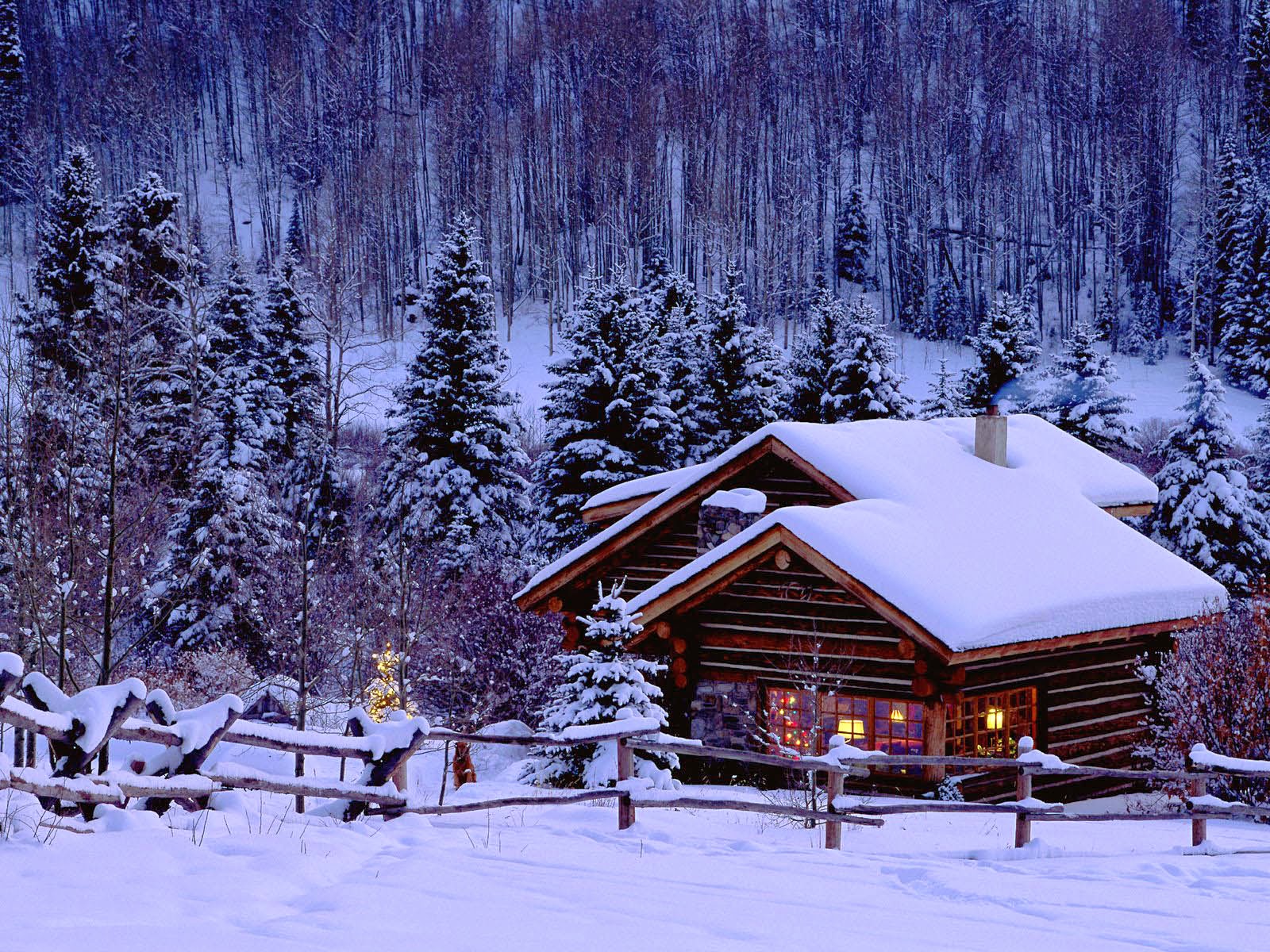 Photography Winter Wallpaper Art And Home HD