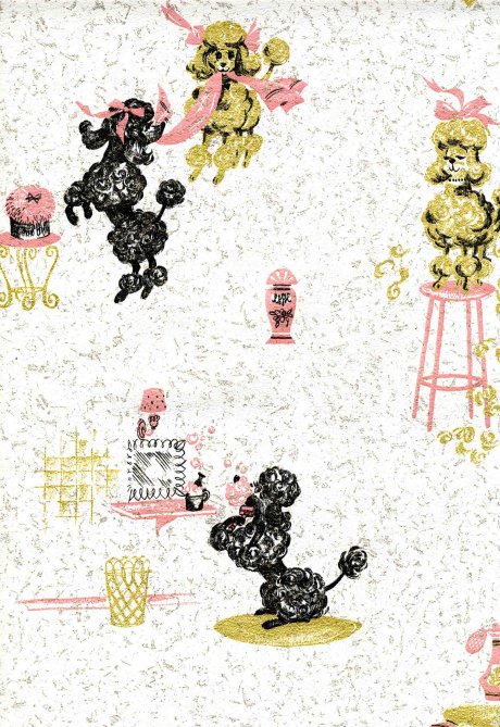 Pink Poodle Wallpaper And Checkerboard Teapot Too