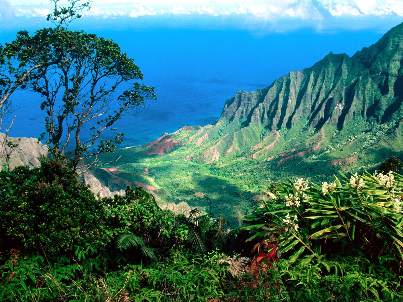 Hawaii Encyclopedia Of World Photo