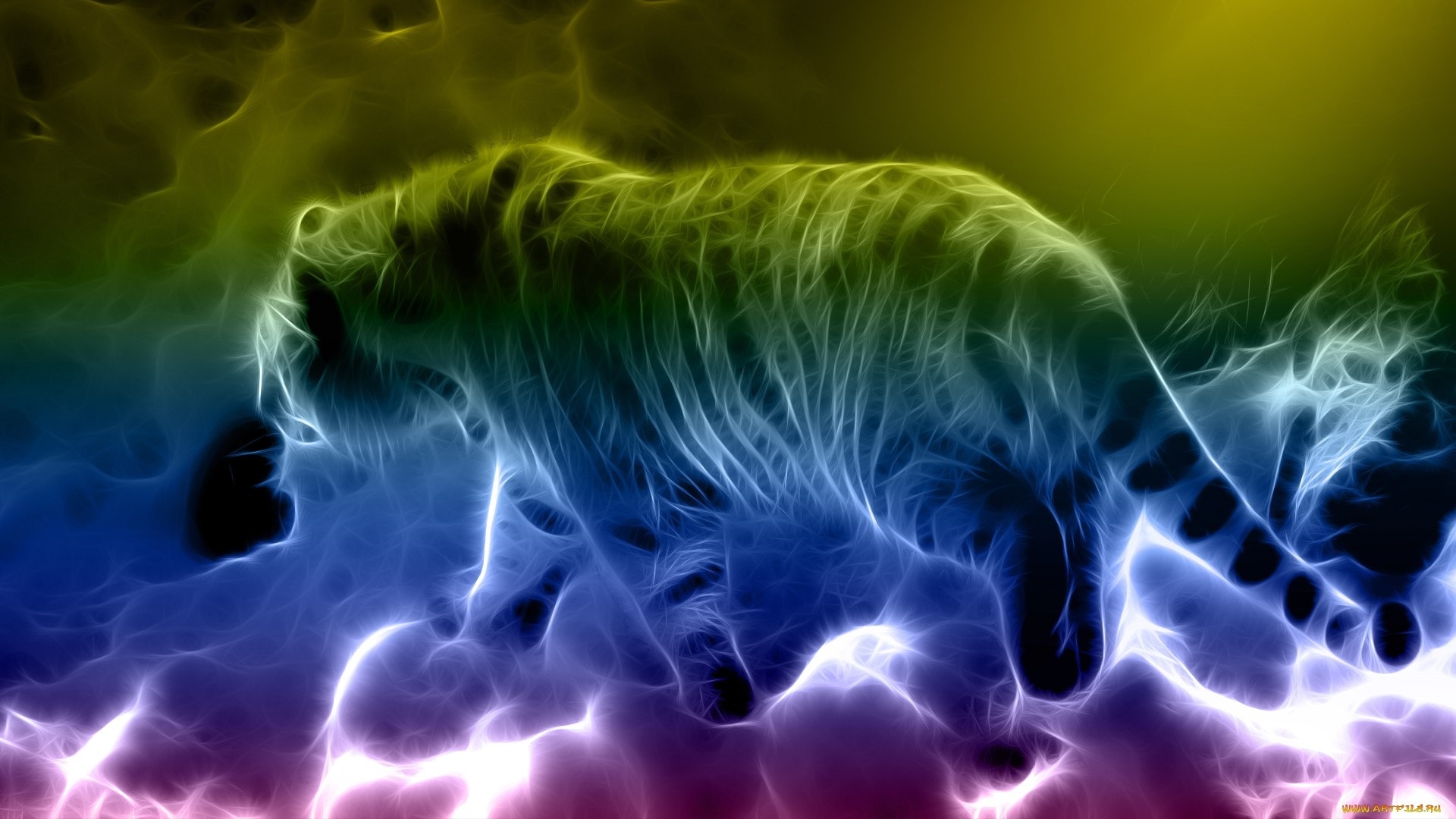 Art Abstract Fractal Animals Cats Tiger Rainbow Predator Wildlife