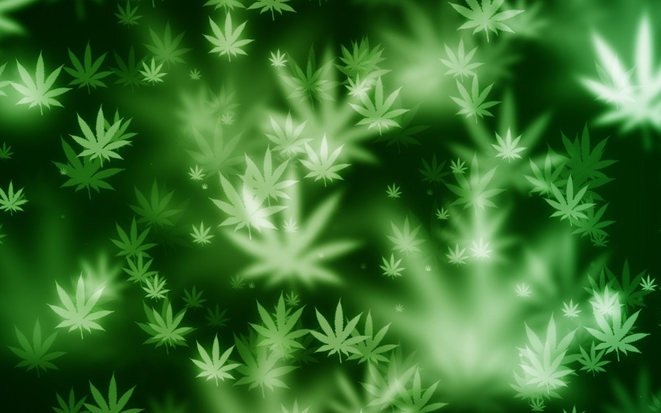 Awesome Weed Bokeh Wallpaper Wallpaper55 Best For