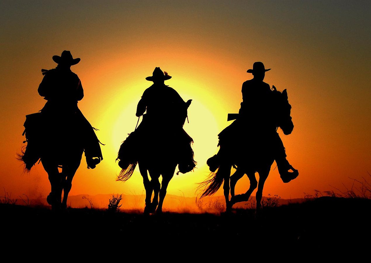Cowboy On Sunset Wallpaper Photos Screen
