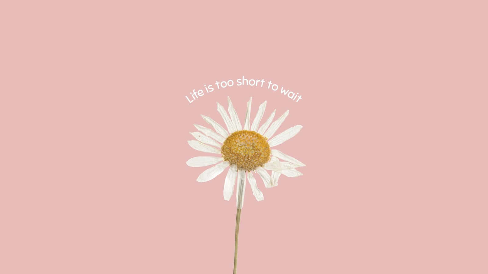 Cute Motivational Desktop Wallpaper