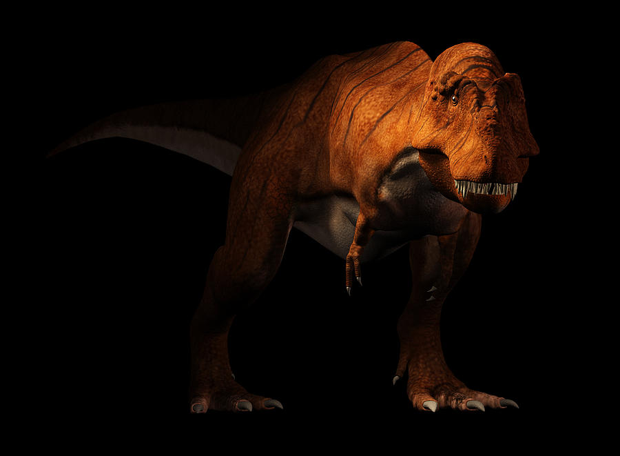 Tyrannosaurus Rex On Black Background Digital Art By Daniel
