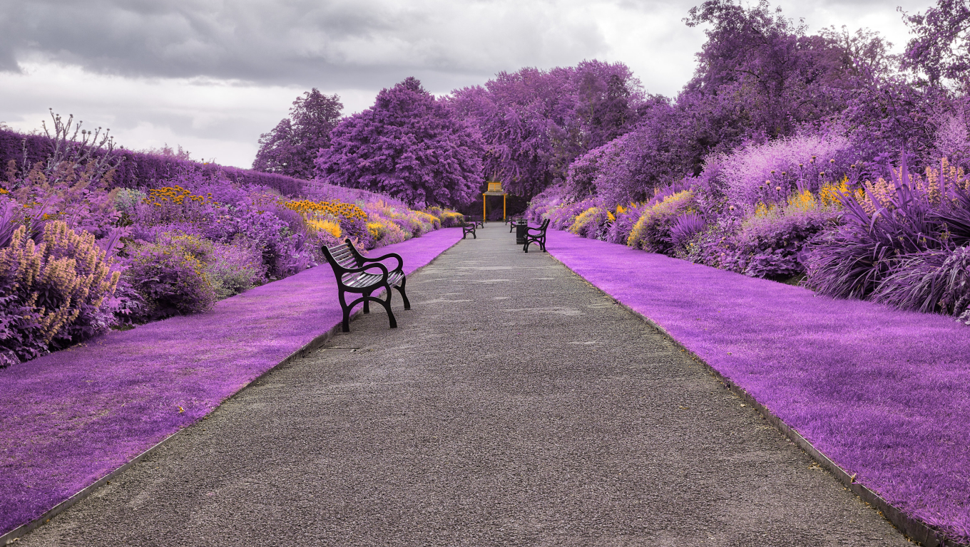 Belfast Botanic Gardens In Northern Ireland Desktop