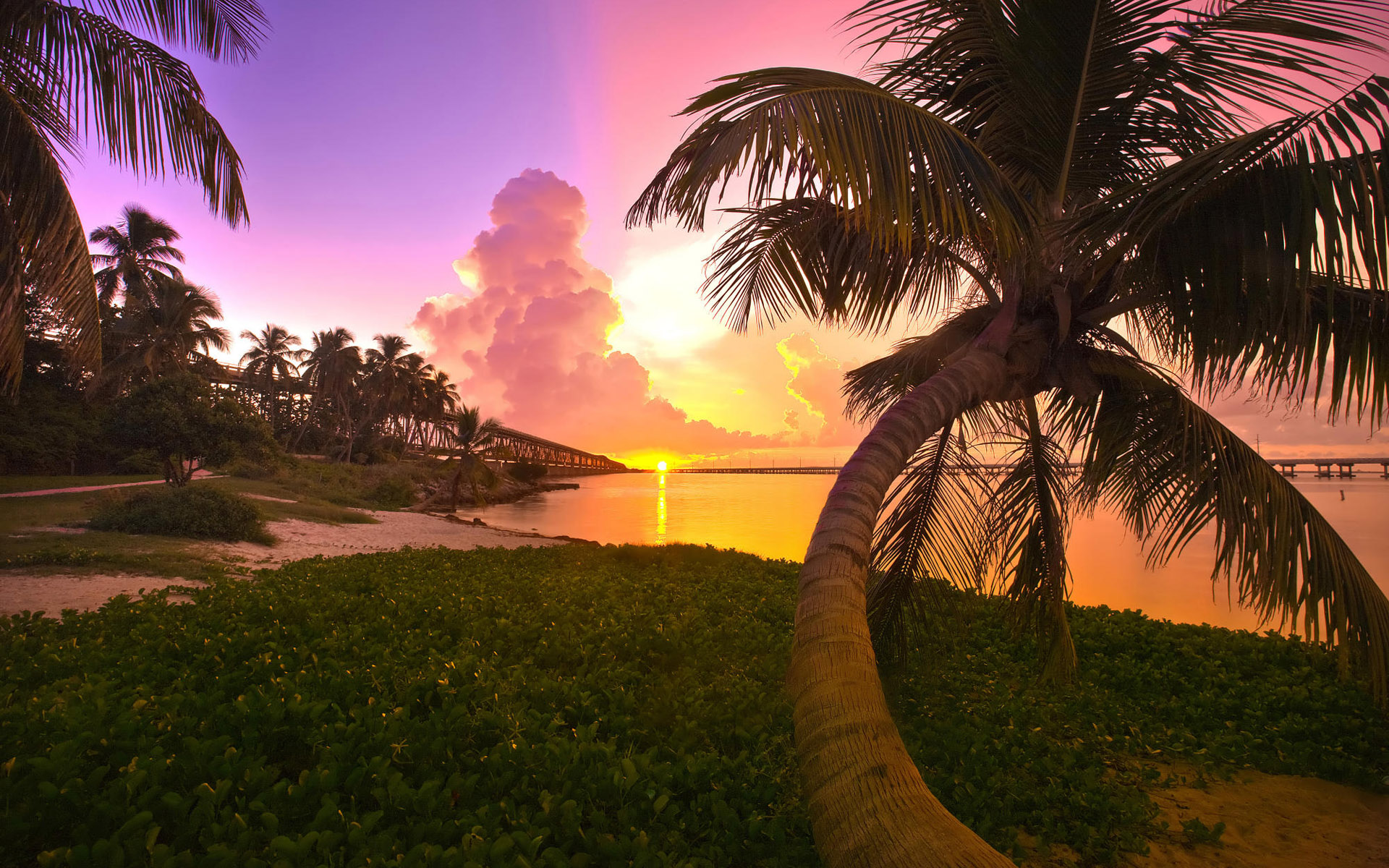  USA bridge palm Florida Key West Key West sunset Florida