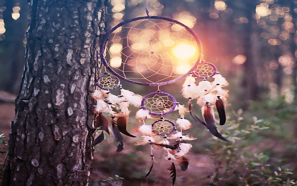 Colorful Dreamcatcher Wallpaper Image Pictures Becuo