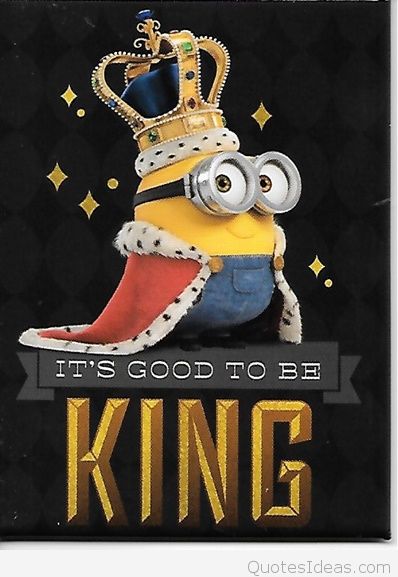 King Bob Minion Wallpaper 71 images