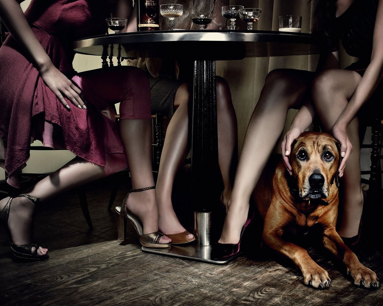 Dog Under The Table With Three Ladies Sitting At But You Can