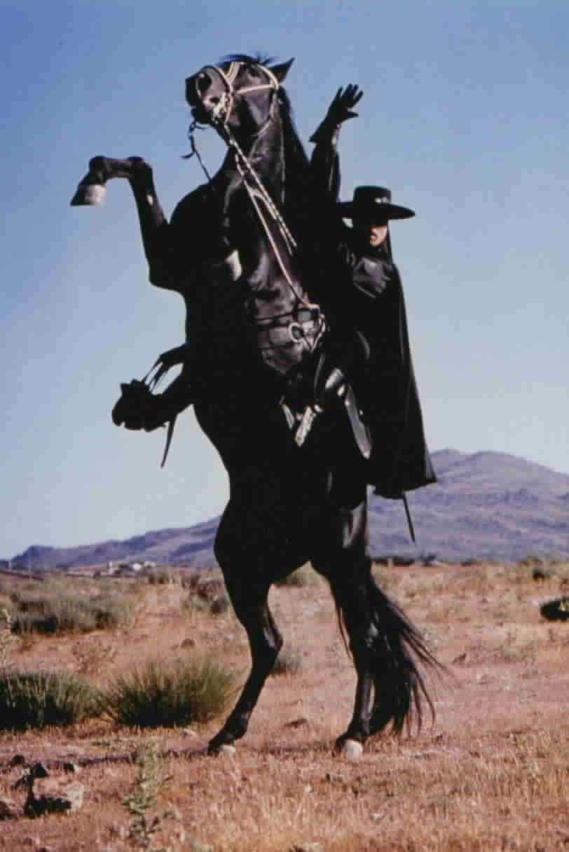 Torronado Is Zorro S Horse Wallpaper Me