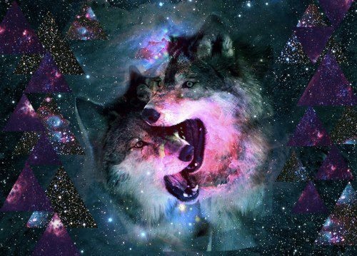 Galaxy Hipster Wolf Image On Favim