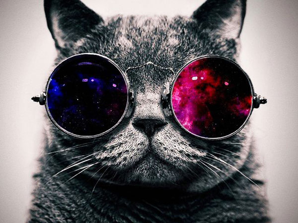 Space Kitty Neatorama