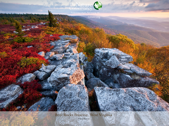 Bear Rocks Preserve West Virginia