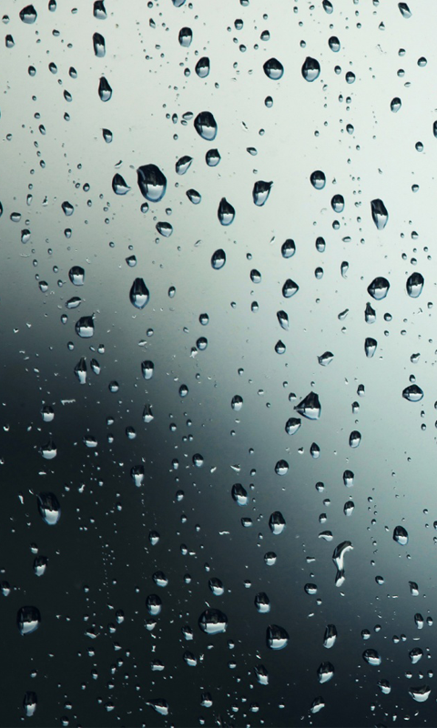 Free download Rain Live Wallpapers Live wallpapers HD for Android free  software [480x800] for your Desktop, Mobile & Tablet | Explore 46+ Live Rain  Wallpaper | Rain Wallpaper, Rain Wallpapers, Rain Forest Background