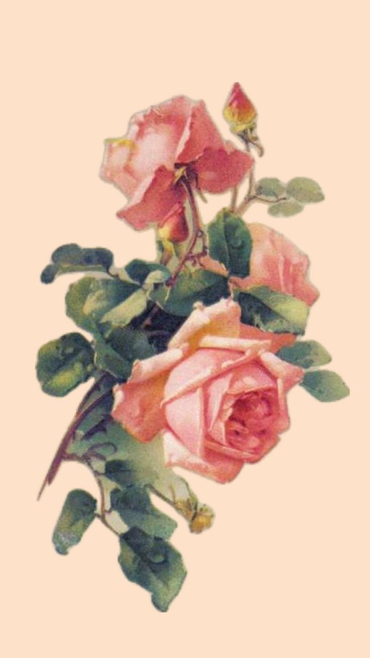 E0b5f52ba4b565c068c3d1c0f003795e Wallpaper