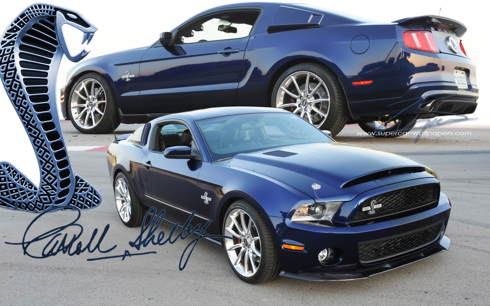 Shelby Gt500 Supersnake Wallpaper Hintergr Nde Id