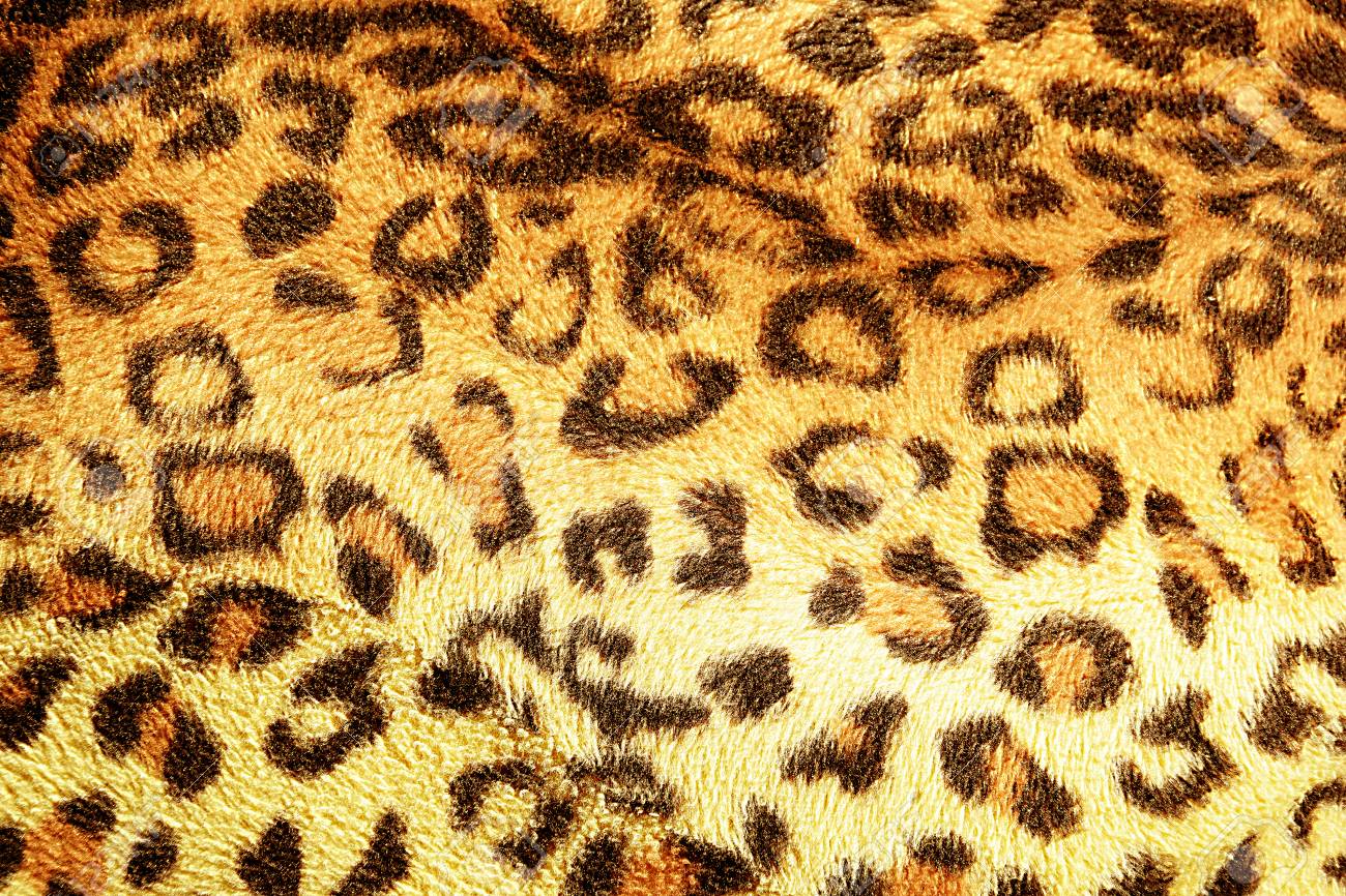 Free download 55 White Leopard Print Wallpapers Download at