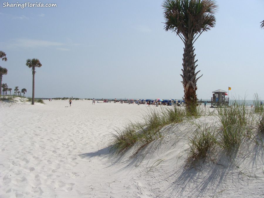  Backgrounds Large Wallpaper Backgrounds of Floridas Gulf Coast