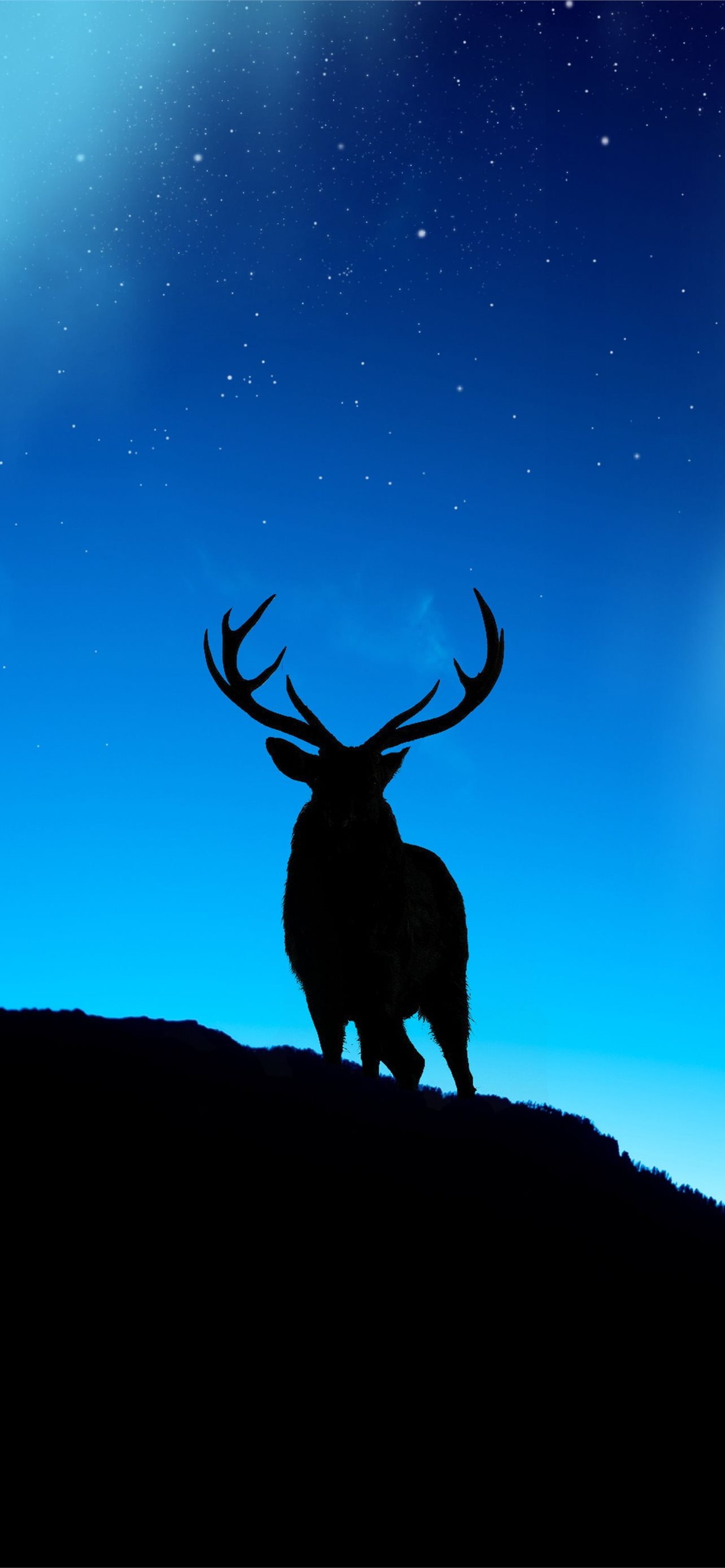 Deer iPhone Wallpaper