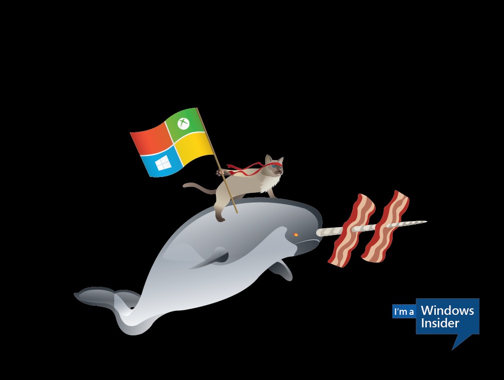 Hilarious Windows Ninjacat Wallpaper Released By Microsoft