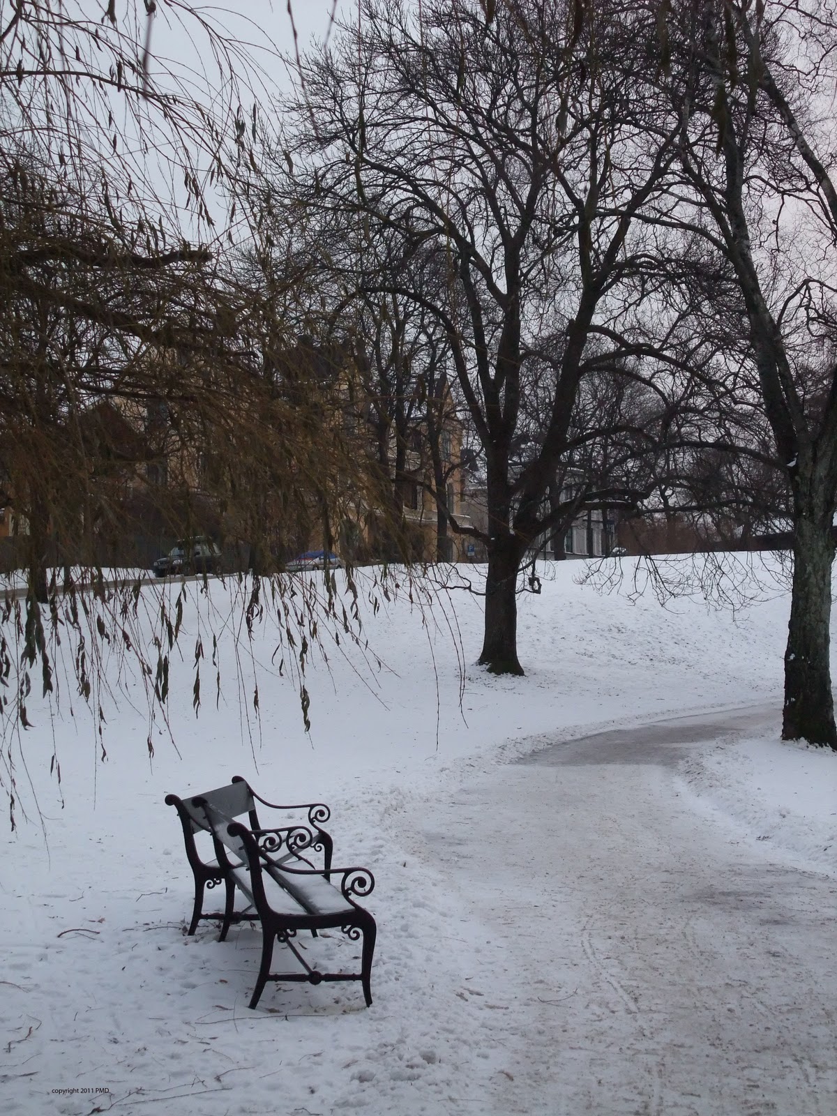 New Yorker In Oslo Winter Scenes