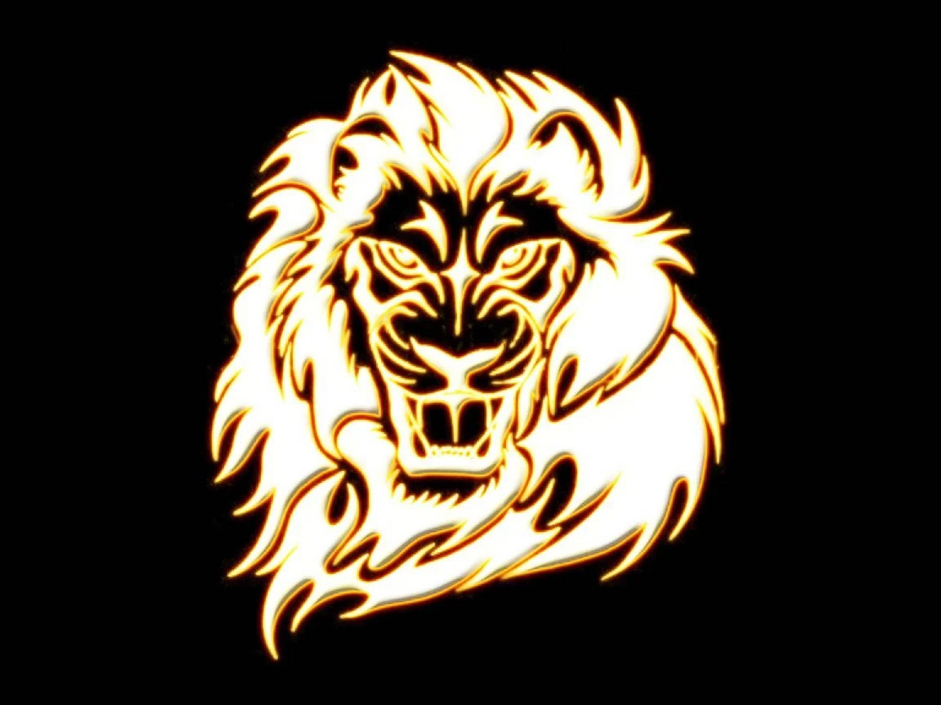 Top Lion Head Wallpaper Full HD 4k To Use