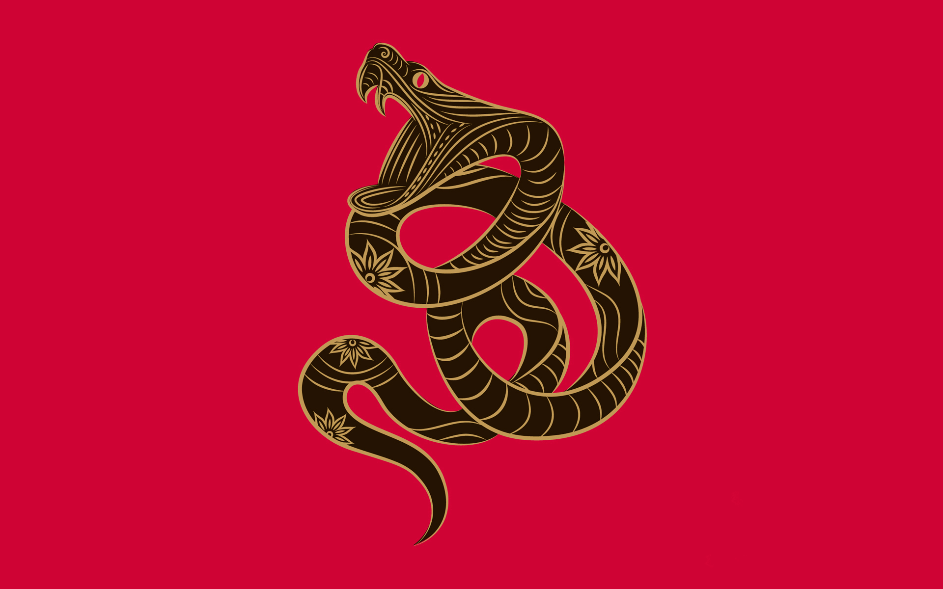 Wallpaper Zodiac Zune Snake Minimalism