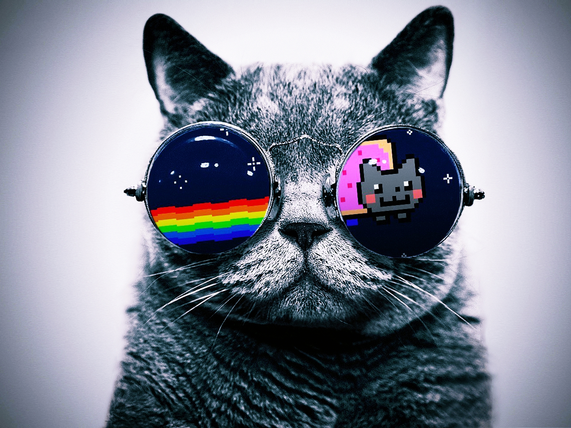 Cat With Glasses Hello Kitty Desktop Wallpaper