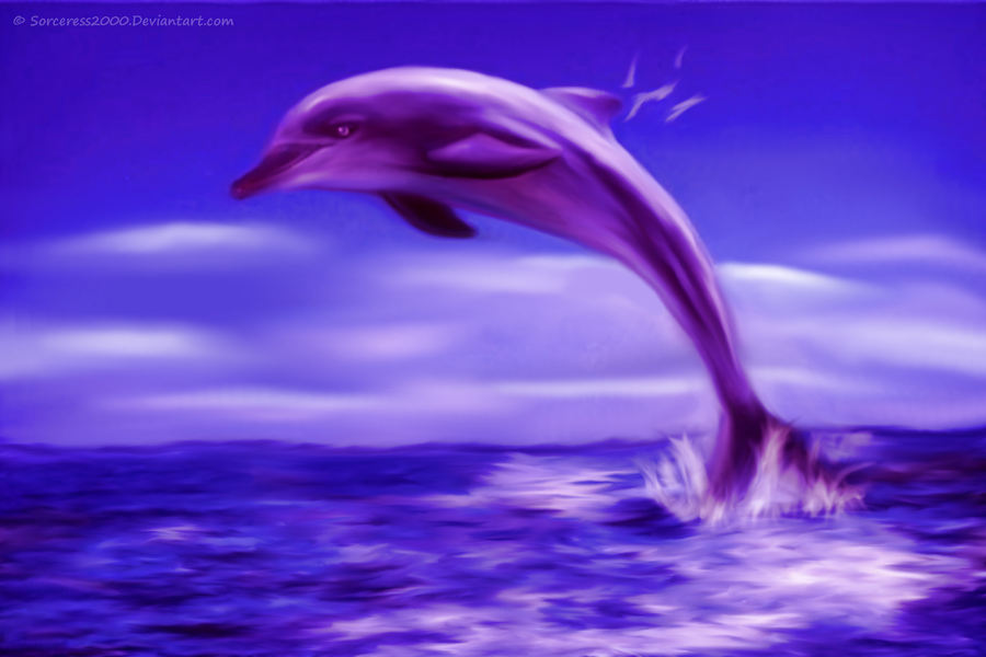 Purple Dolphin By Sorceress2000