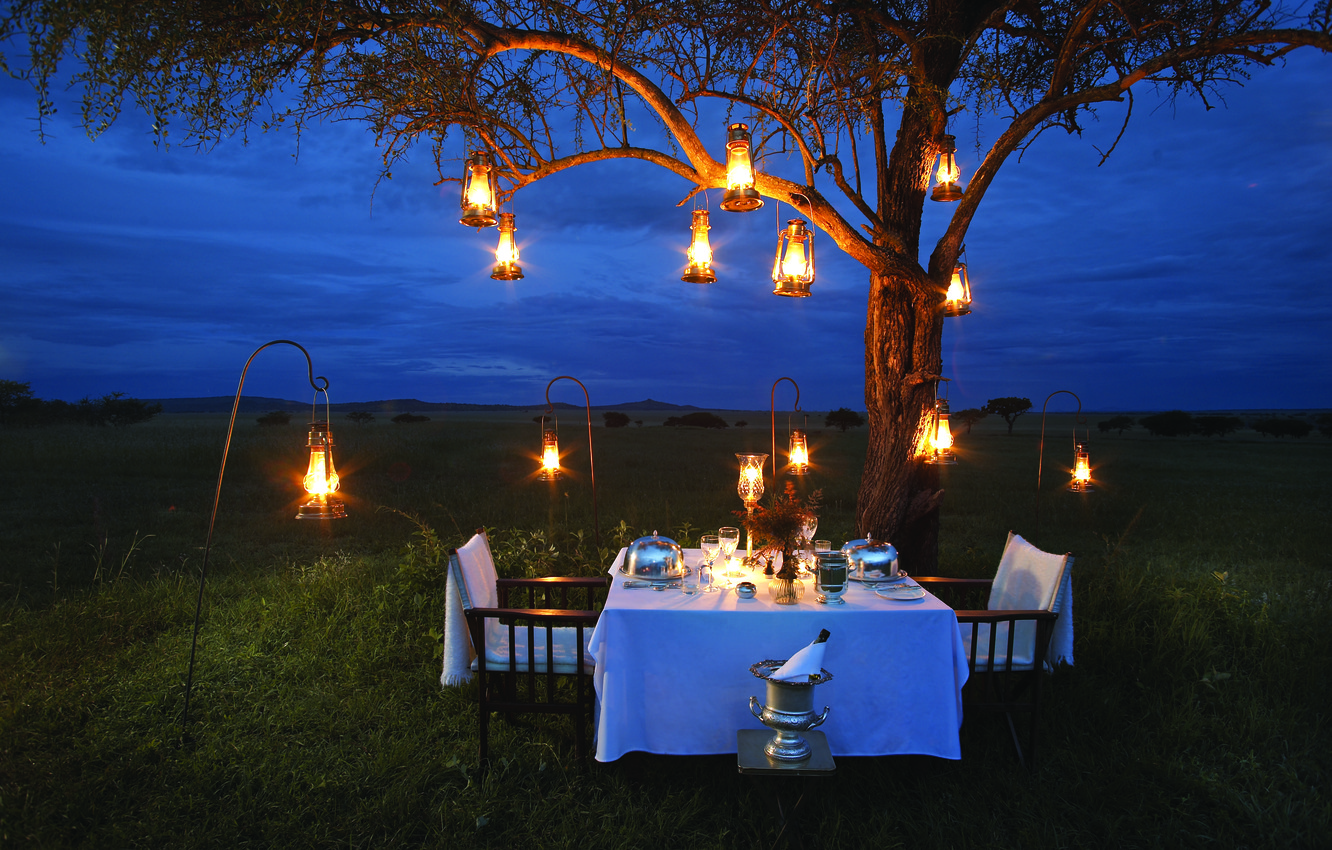 Wallpaper lamp romance the evening Savannah Africa champagne