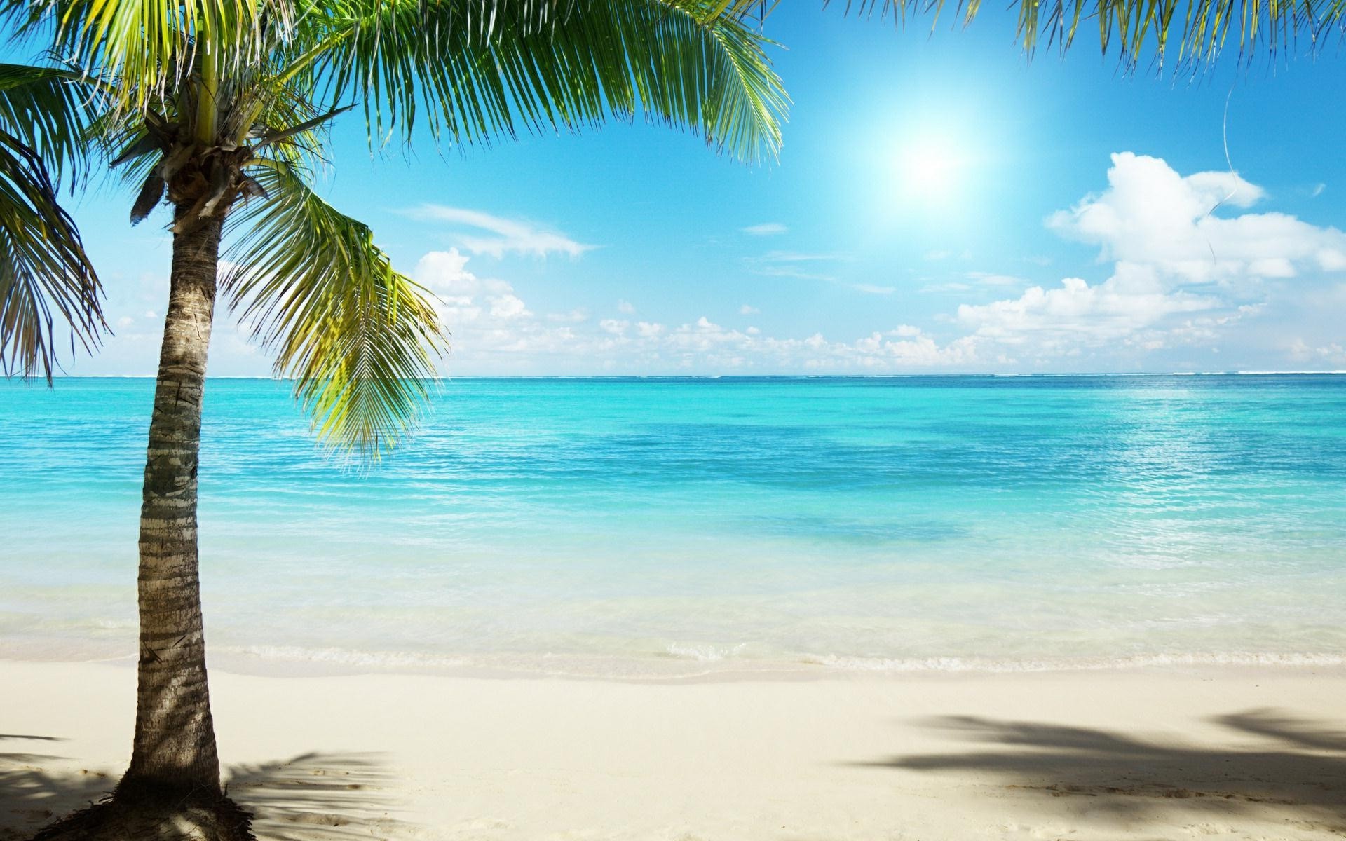 Tropical Beach Background HD Widescreen Wallpaper