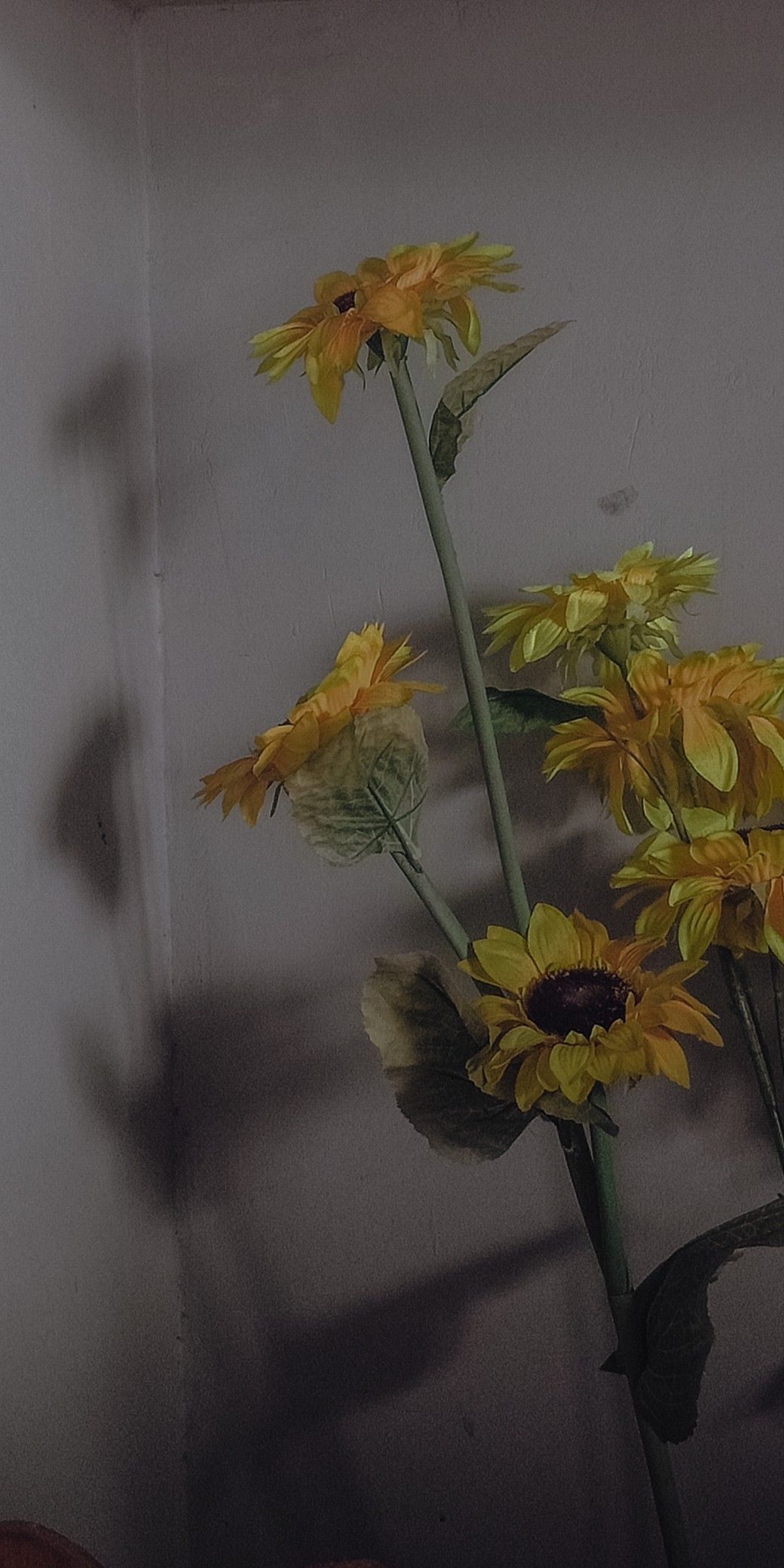 A3a161193a852c07d1d4067c2a80602d Wallpaper